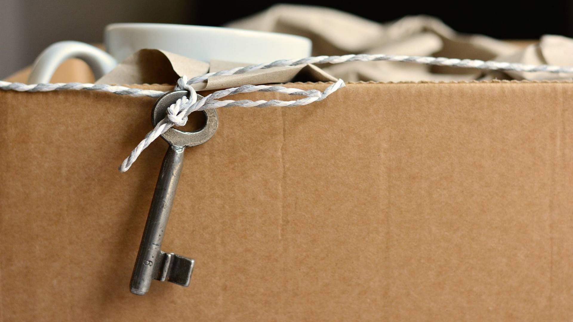 Des professionnels facilitent votre déménagement