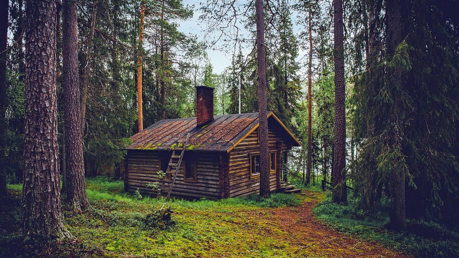 Pourquoi ne pas vous laisser tenter par une maison en bois massif ?