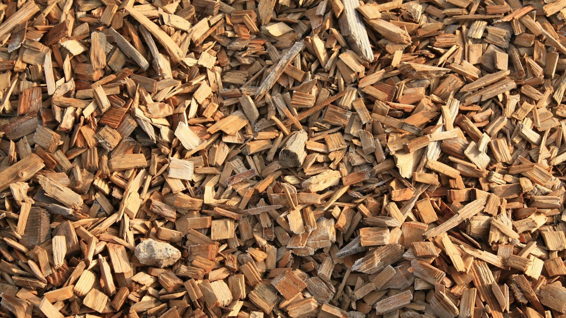 Bien choisir sa fendeuse à bois professionnelle